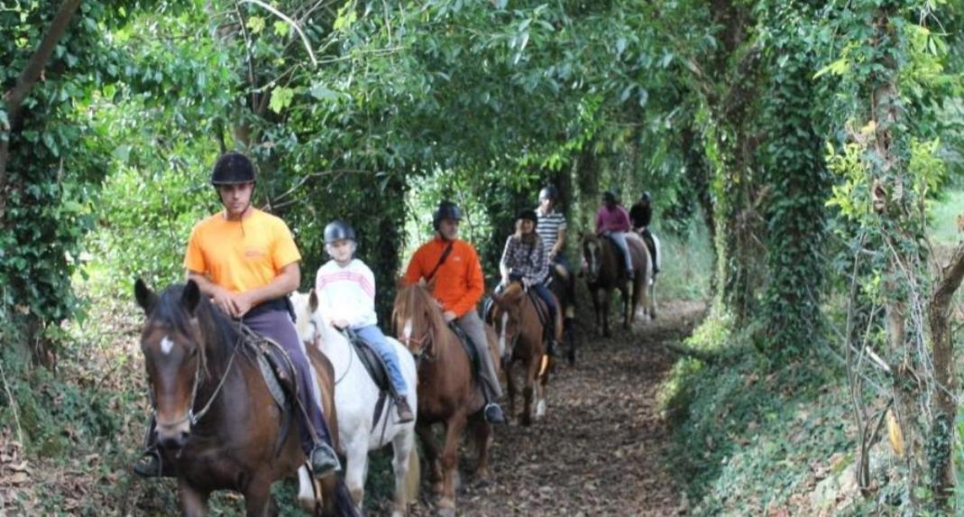 La Salmonera Cangas De Onis Cano Bagian luar foto