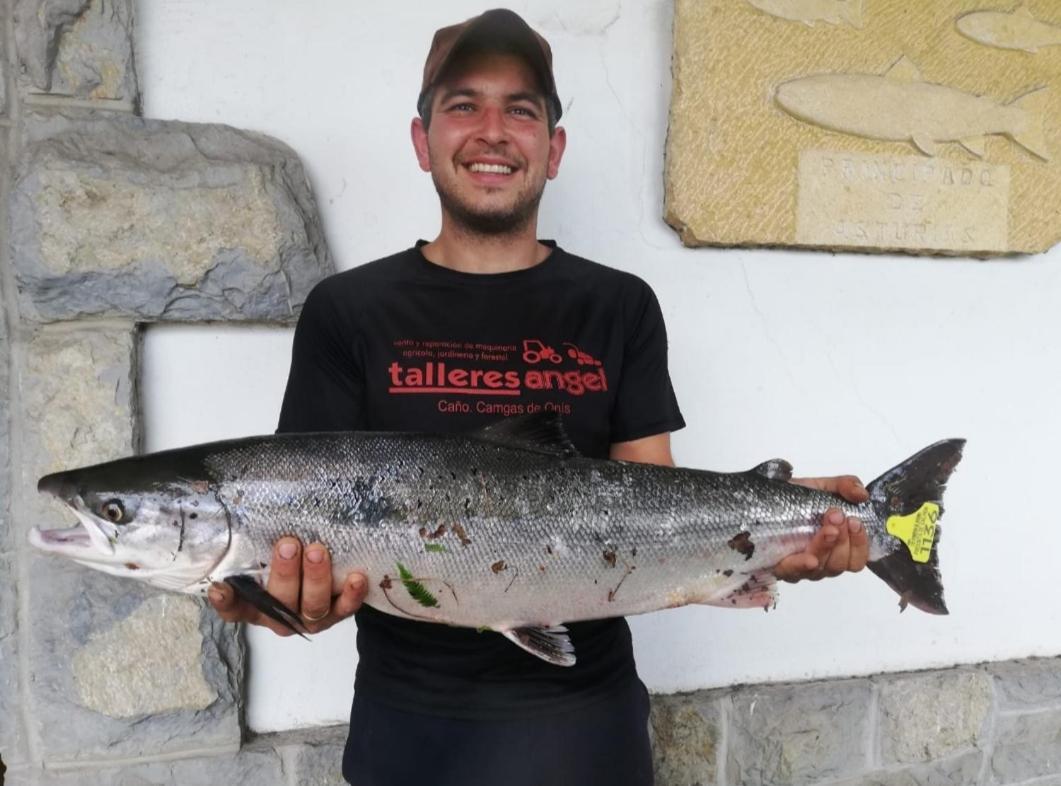 La Salmonera Cangas De Onis Cano Bagian luar foto